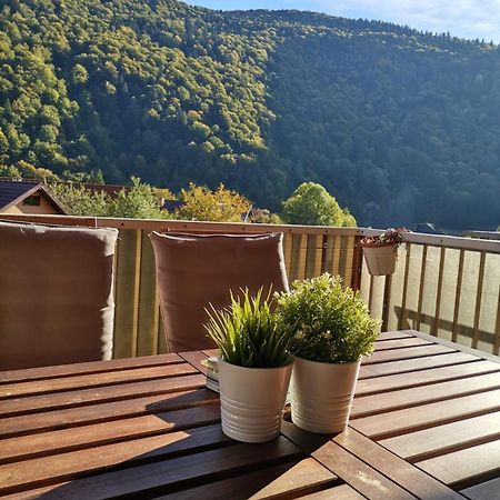 Miro Apartament Sinaia Extérieur photo