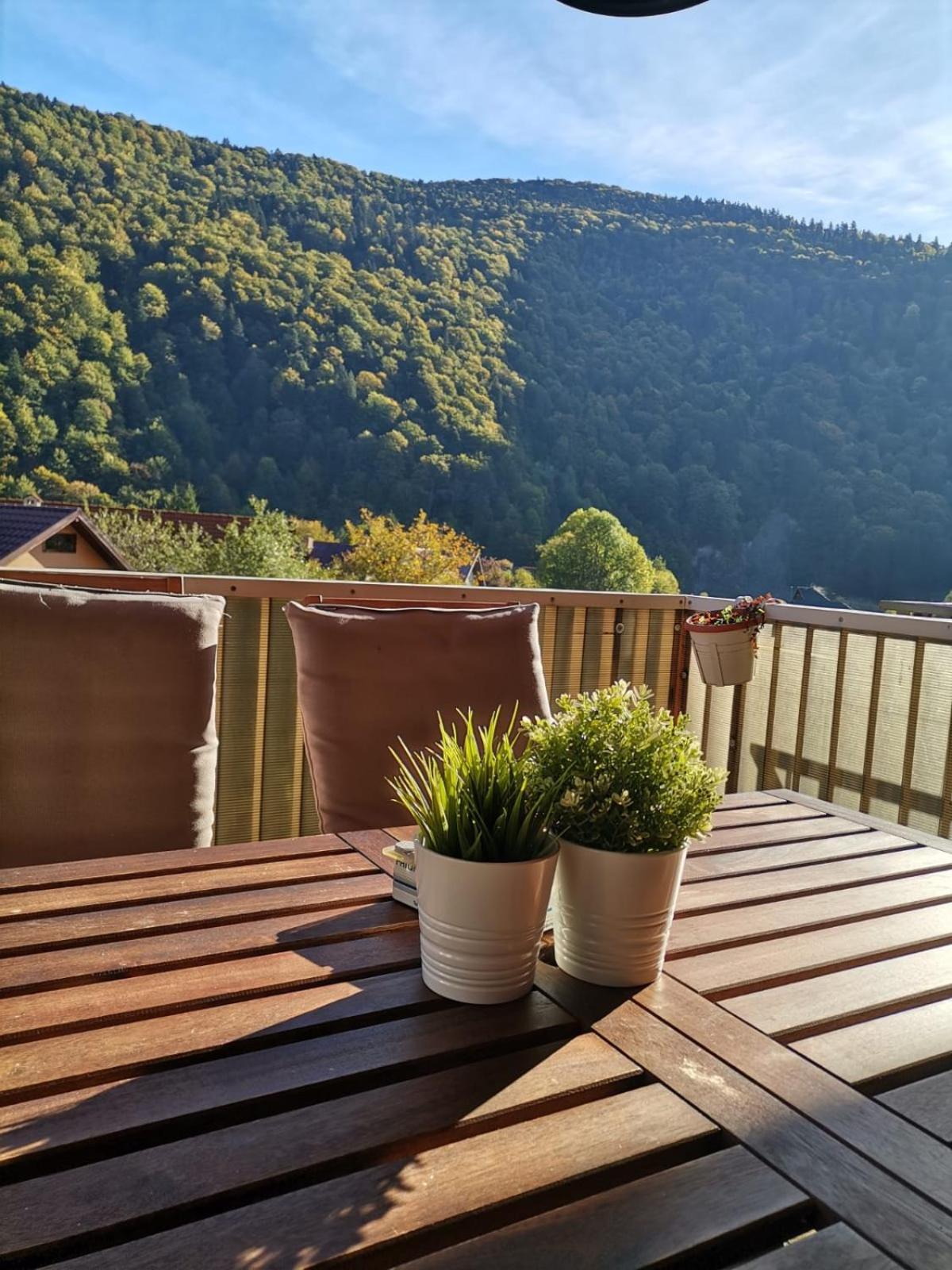 Miro Apartament Sinaia Extérieur photo