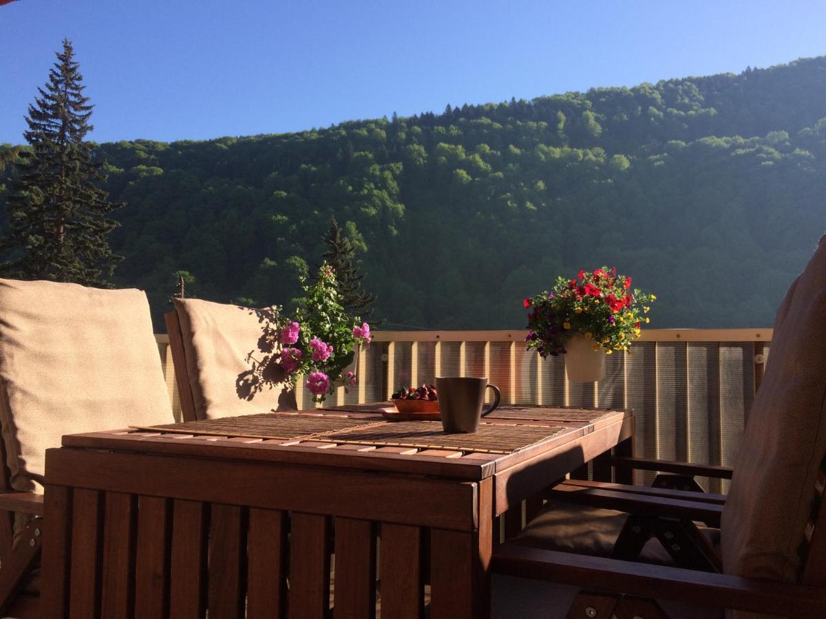 Miro Apartament Sinaia Extérieur photo