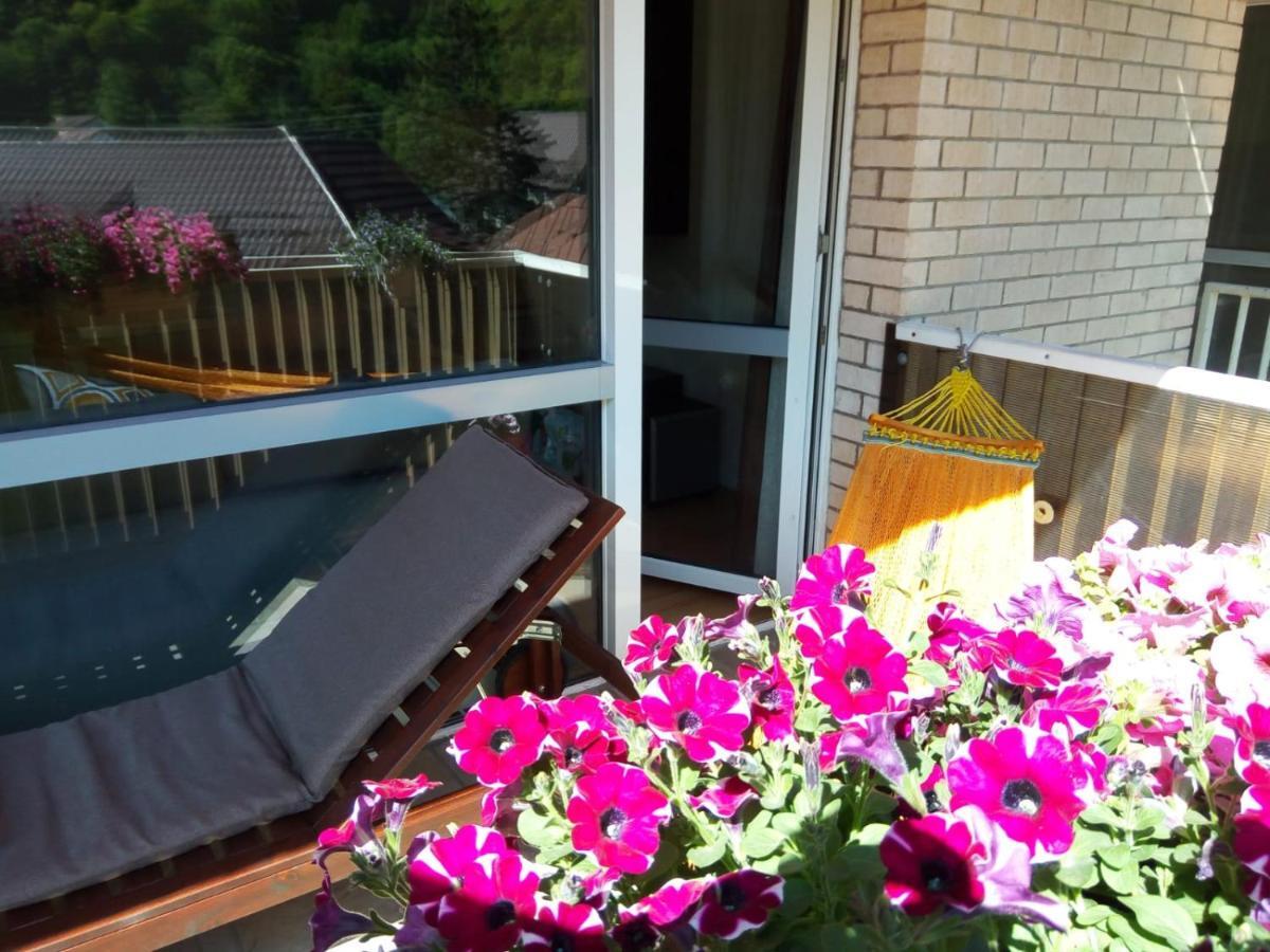 Miro Apartament Sinaia Extérieur photo