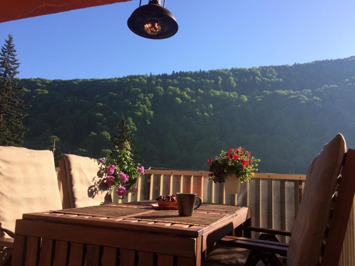 Miro Apartament Sinaia Extérieur photo